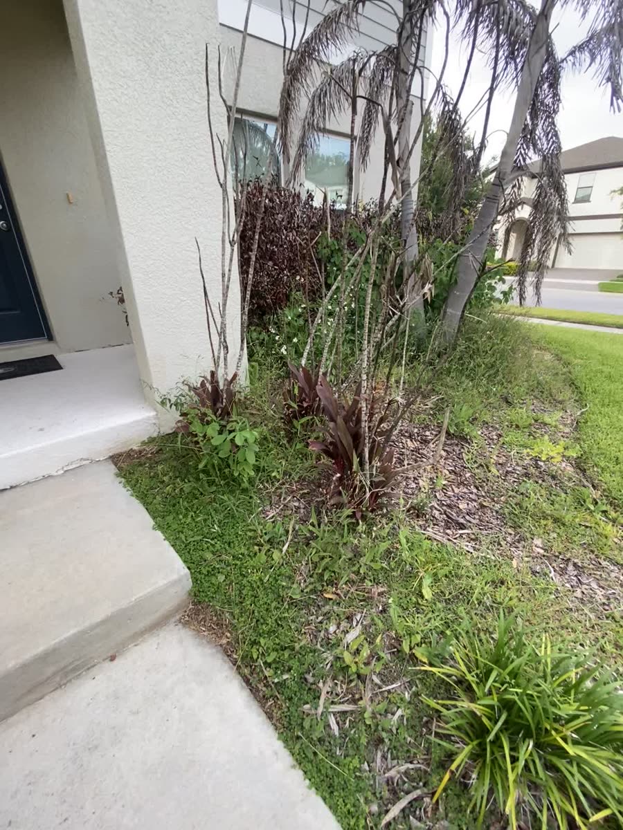 Property Cleanups